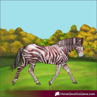 Horse Color:Brown Tobiano 