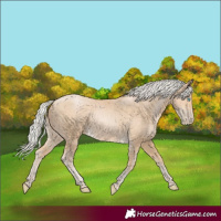Horse Color:Silver Smoky Black Pearl