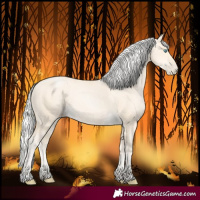 Horse Color:Silver Buckskin Pearl 