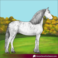 Horse Color:Gray White Spotted Black and Gray White Spotted Classic Champagne