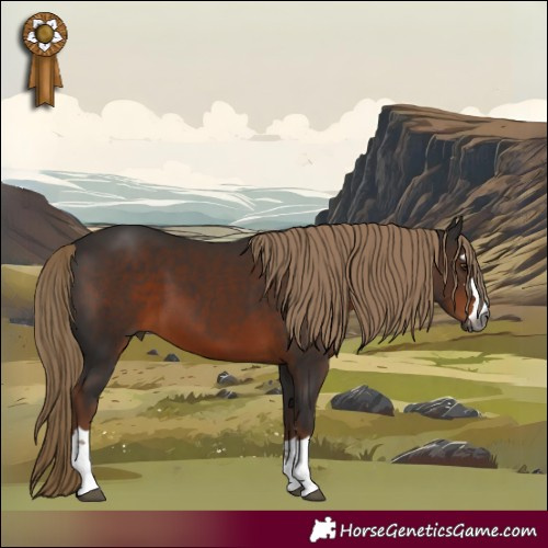 Horse Color:Gray Liver Chestnut 
