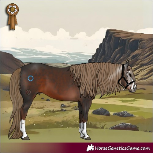 Horse Color:Gray Liver Chestnut 