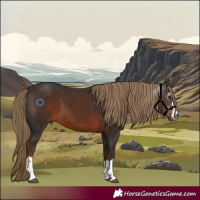 Horse Color:Gray Liver Chestnut 