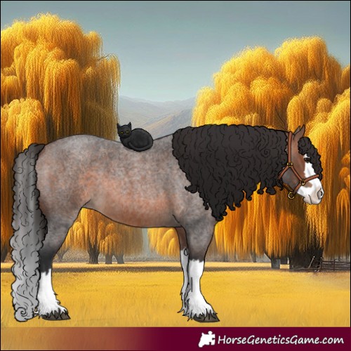 Horse Color:Brown Roan Splash 