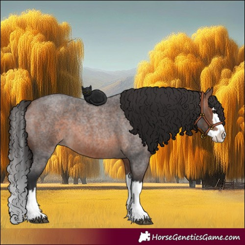 Horse Color:Brown Roan Splash 