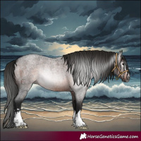 Horse Color:Gray Brown Roan 