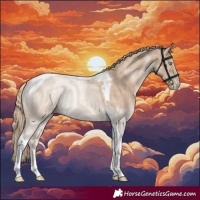 Horse Color:Perlino Tobiano