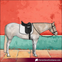Horse Color:Perlino Tobiano 