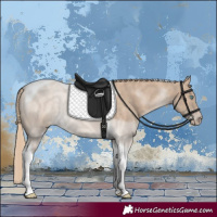 Horse Color:Perlino Tobiano