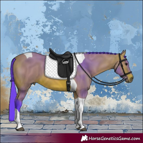 Horse Color:Watercolor Bay Tobiano