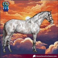 Horse Color:Bay Roan Skewed Appaloosa 