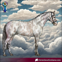 Horse Color:Bay Roan Skewed Appaloosa 