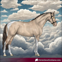 Horse Color:Amber Champagne Dun Tobiano 