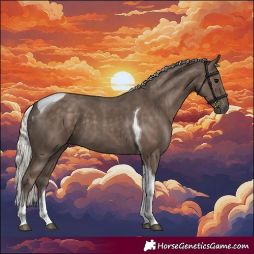 Horse Color:Silver Black Tobiano 