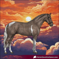 Horse Color:Silver Black Tobiano 