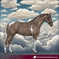 Horse Color:Silver Black Tobiano 