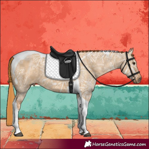 Horse Color:Red Dun Ice Tobiano 
