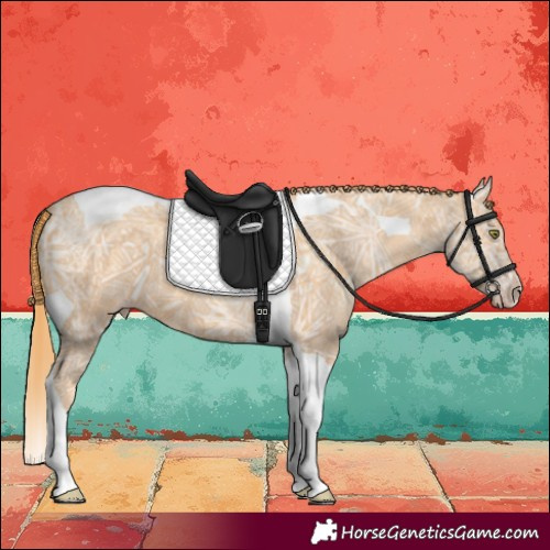 Horse Color:Gold Champagne Ice Tobiano 