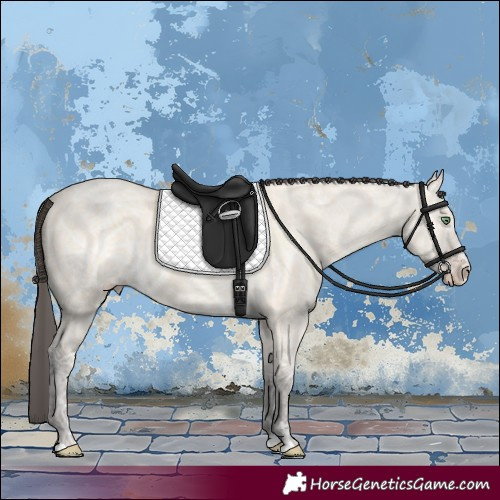 Horse Color:Amber Cream Champagne Ice