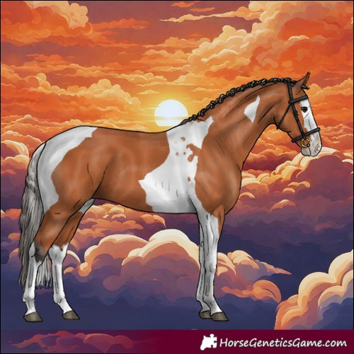 Horse Color:Bay Splash Tobiano 
