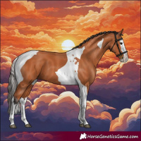 Horse Color:Bay Splash Tobiano 