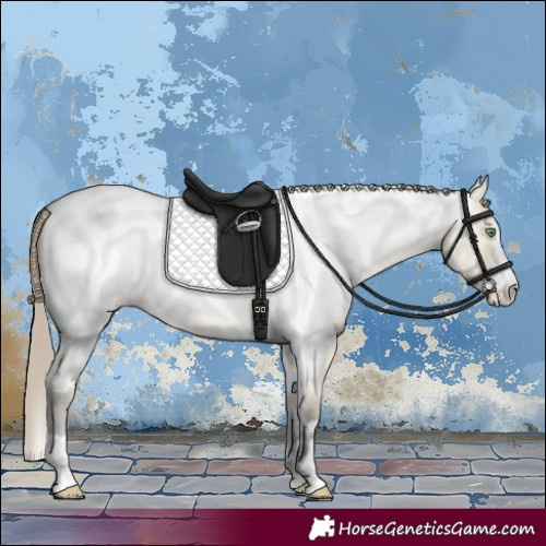 Horse Color:Amber Cream Champagne Roan Skewed Appaloosa 