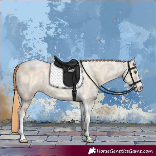 Horse Color:Gold Champagne Ice Dun Tobiano 