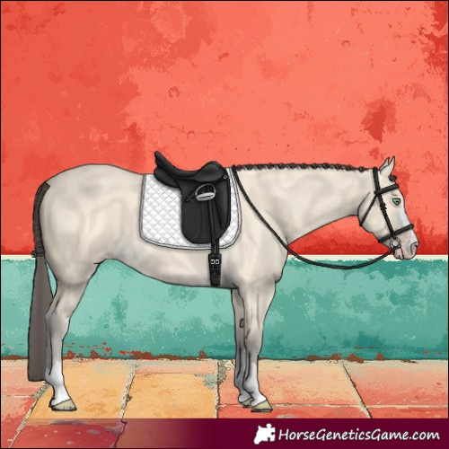 Horse Color:Amber Cream Champagne 