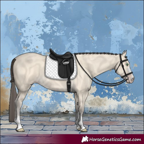 Horse Color:Amber Cream Champagne 