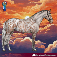 Horse Color:Silver Bay Roan Skewed Appaloosa 