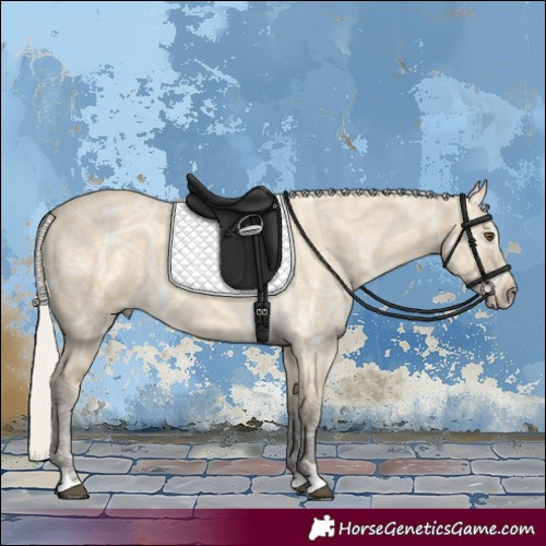 Horse Color:Silver Buckskin Ice Dun 