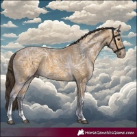 Horse Color:Buckskin Ice Tobiano 