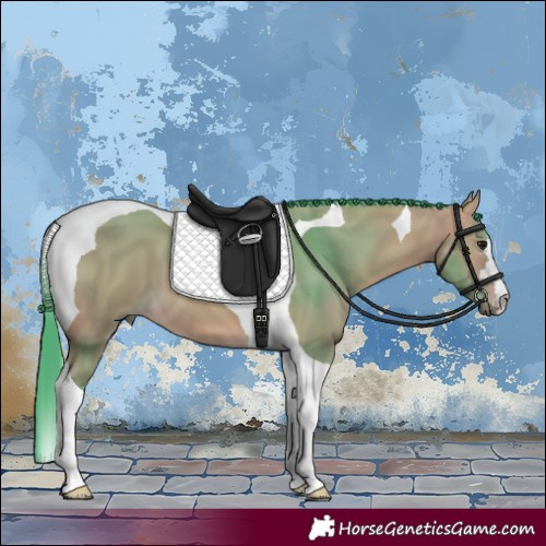 Horse Color:Watercolor Buckskin Tobiano 