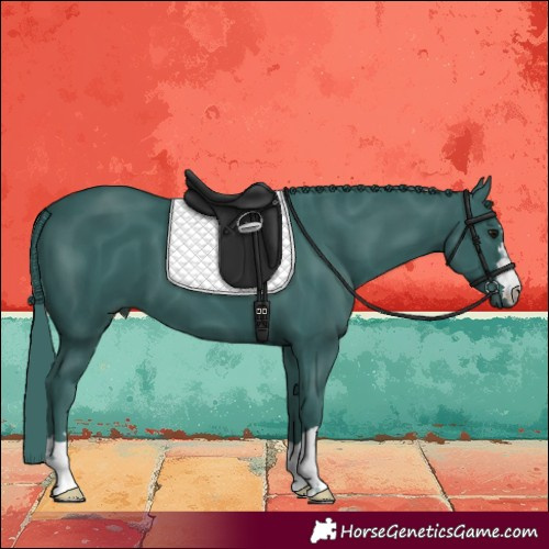 Horse Color:Watercolor Smoky Black 