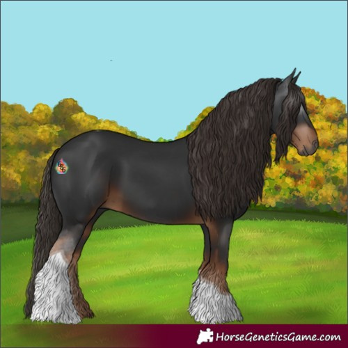 Horse Color:Gray Liver Chestnut Tobiano