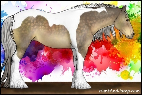 Horse Color:Chocolate Palomino Tobiano 