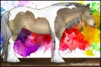 Horse Color:Chocolate Palomino Tobiano 