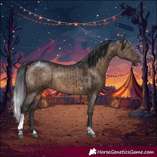 Horse Color:Brown Dun Tobiano Brindle 