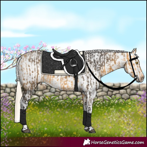 Horse Color:Silver Buckskin  and Palomino Sabino 