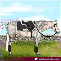 Horse Color:Silver Buckskin  and Palomino Sabino 