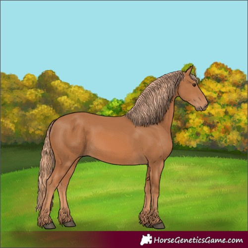 Horse Color:Unknown 
