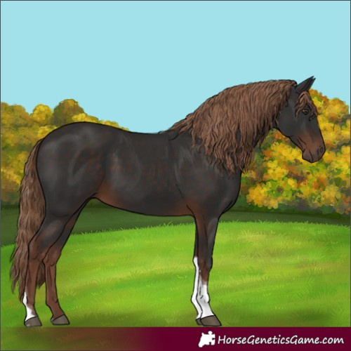 Horse Color:Liver Chestnut Tobiano 