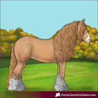 Horse Color:Chestnut Varnish
