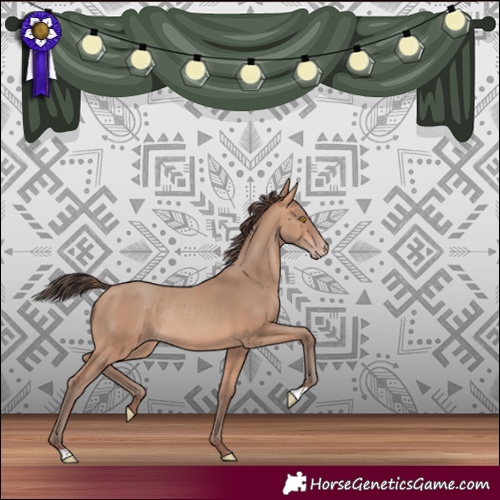 Horse Color:Amber Champagne Rabicano 
