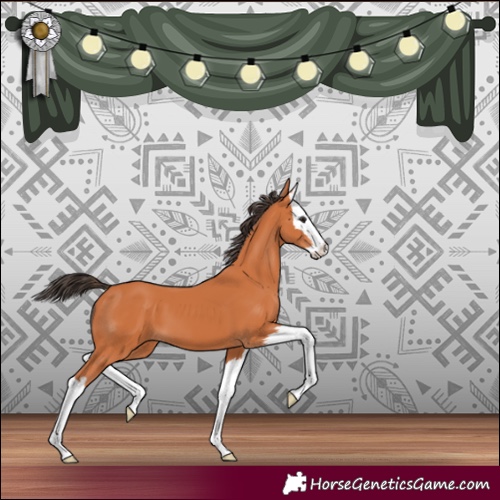 Horse Color:Bay Splash 