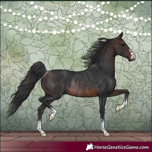 Horse Color:Brown Rabicano 