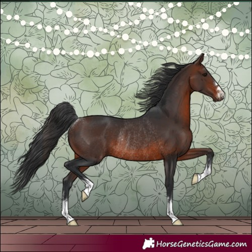 Horse Color:Brown Rabicano 