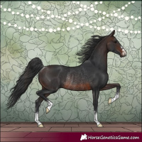 Horse Color:Brown Rabicano