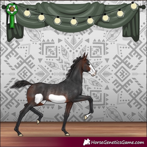 Horse Color:Brown Frame Rabicano 