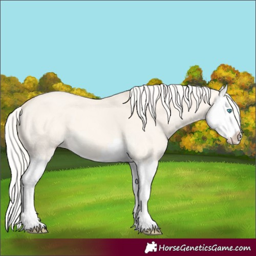 Horse Color:Cremello Dun Splash 